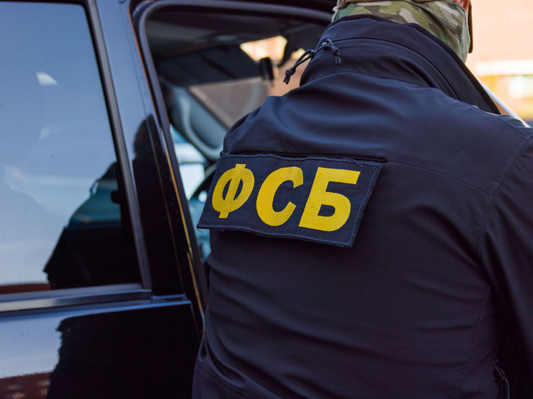 В Челябинской области задержан подозреваемый в попытке теракта
