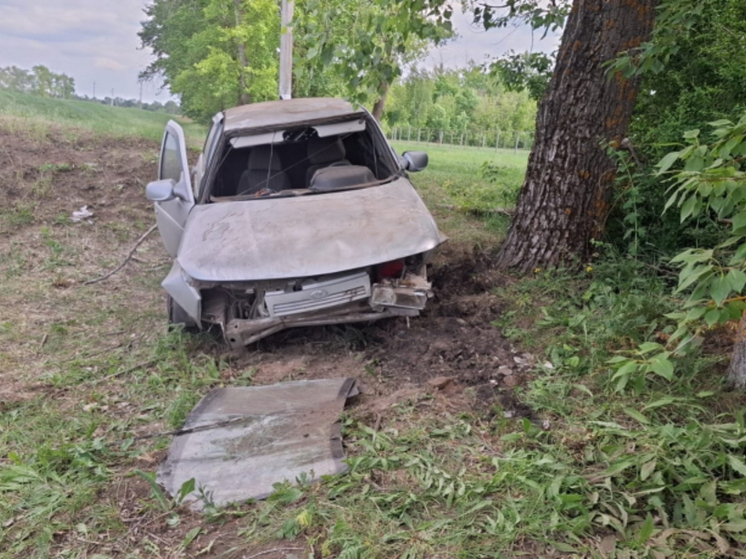 В Жердевском округе легковушка оказался в кювете