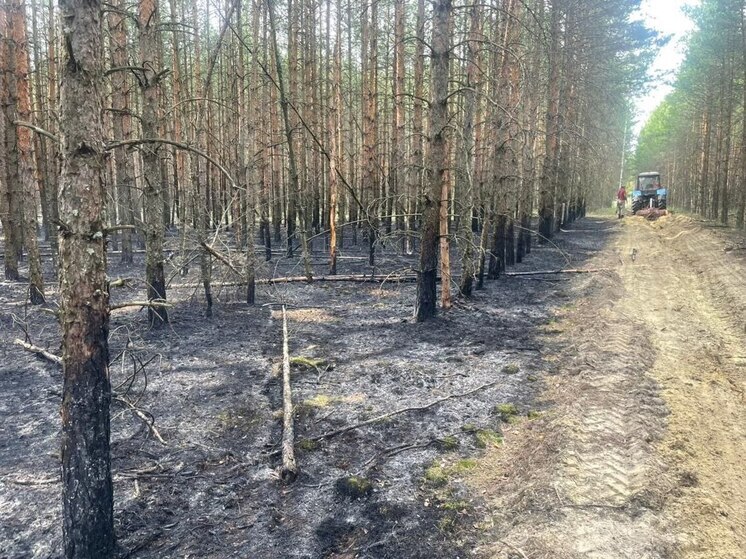 Жителей предупредили о 4 классе пожарной опасности в регионе