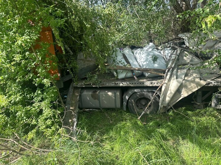 Грузовик с полуприцепом врезался в дерево под Воронежем, водитель погиб
