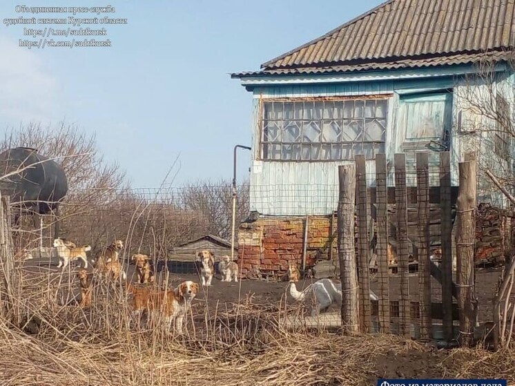 Жителя Курской области обязали привить 21 собаку