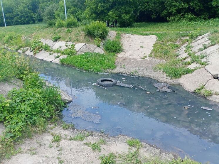 Природоохранная прокуратура отреагировала на сообщения о загрязнении Липовки