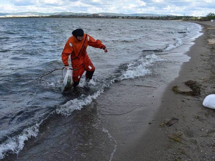 Водолазы очистили от мусора дно озера Кенон на главном пляже в Чите