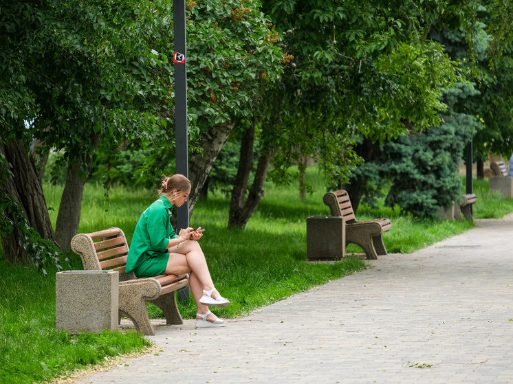 Волгоградских аллергиков предупредили о высокой активности пыльцы