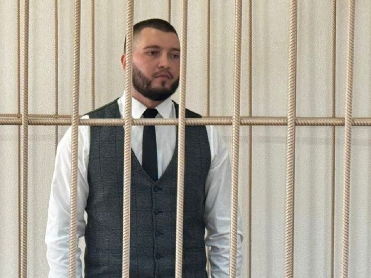 Вынесен приговор покупателю авто, набросившемуся на новосибирца с ножом