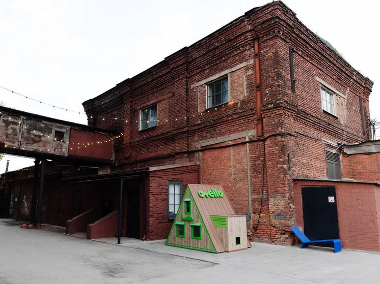 В Северной столице построили городок для кошек