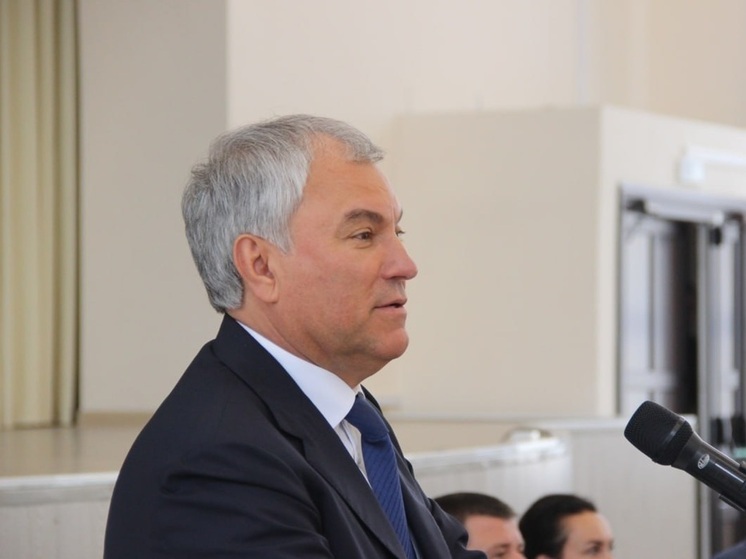 Вячеслав Володин пожурил Михаила Исаева за школу