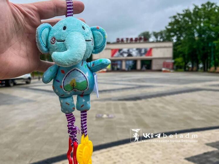 Мэрия Белгорода ищет хозяина игрушечного слоника