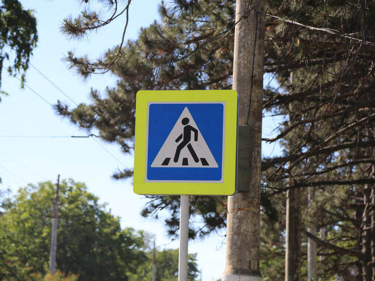 В Новороссийске жалуются на деревья, за которыми не видно дорожные знаки