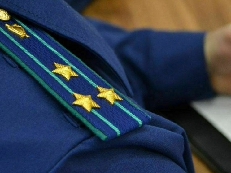 В Липецкой области аннулирована запись о рождении несуществующего ребенка
