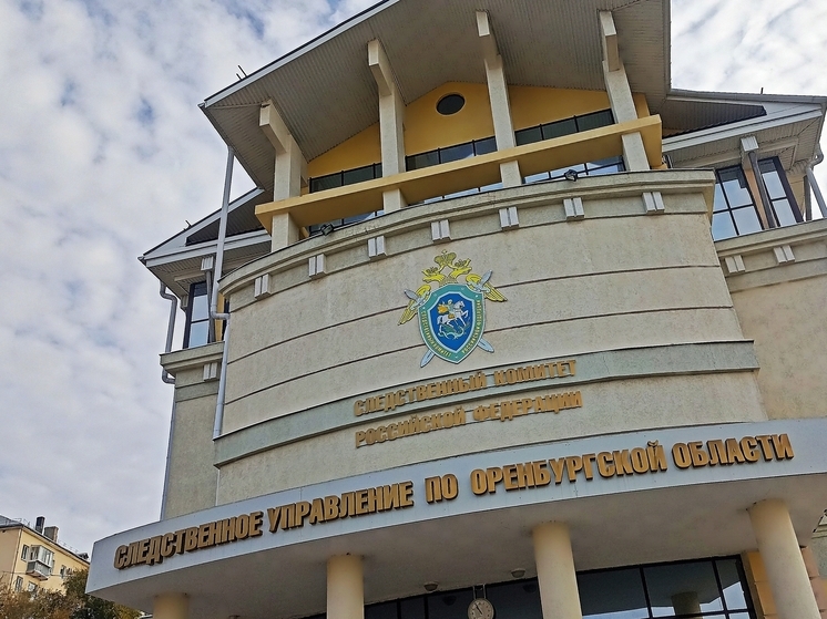 Двое сыновей оренбургского олигарха задержаны