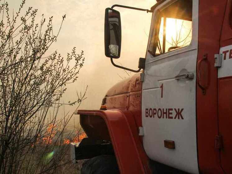 Площадь возгорания в Воронежском заповеднике достигла отметки в 540 гектаров