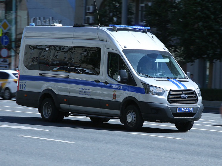 В Петербурге повара-мигранта будут судить за убийство коллеги из-за салата