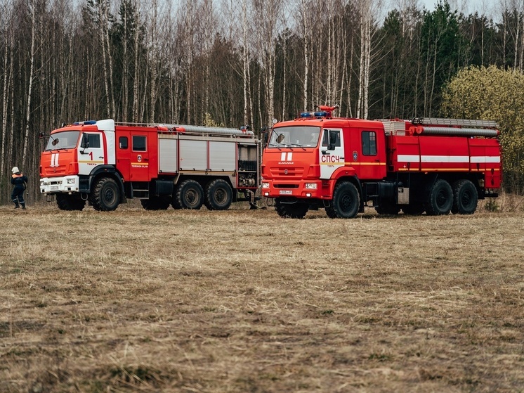 Желтый уровень объявлен в Тверской области из-за высокой пожарной опасности