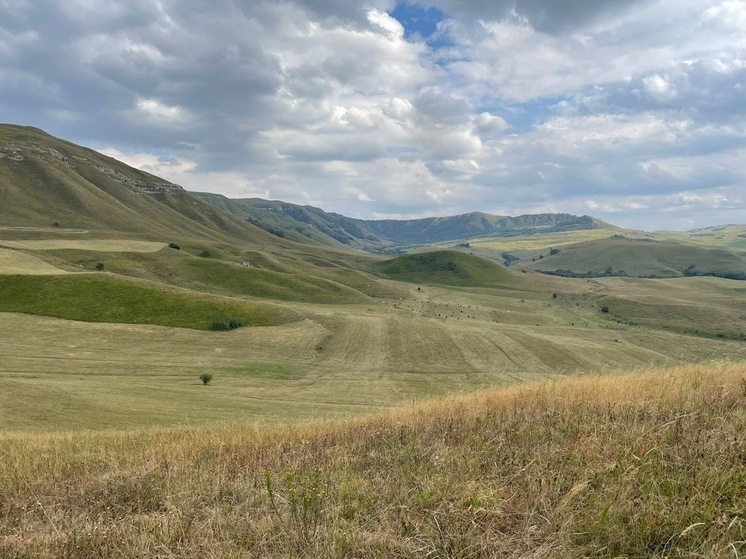 Жители Кисловодска обсудили строительство дороги к «Солнечной долине»