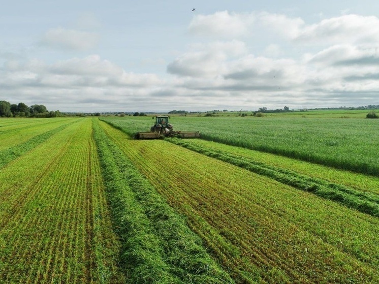 Агропредприятия республики на 40 000 тонн увеличат заготовку кормов