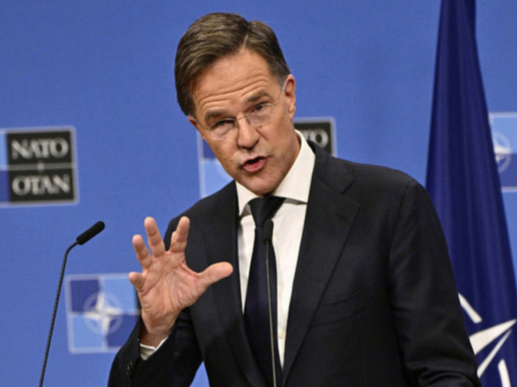 Рютте: Балтика и Черное море находятся в зоне ответственности НАТО