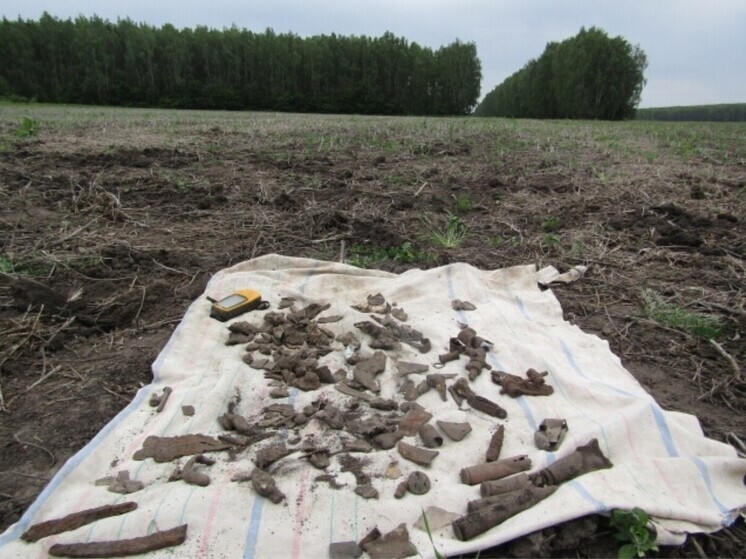 В Орловской области нашли обломки самолёта Як-7Б времён Великой Отечественной войны