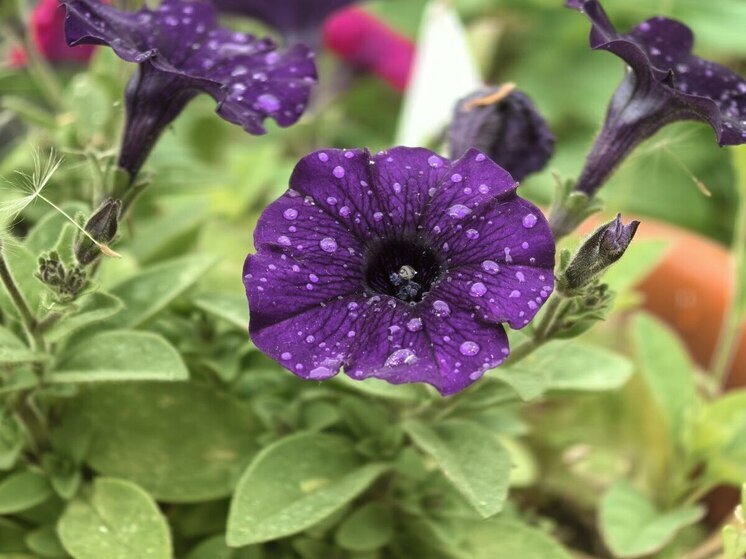 В четверг в Приморье будет дождливо