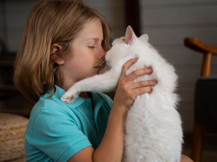 Пушистые предсказатели: Могут ли коты и кошки предвидеть смерть – ответ ученых