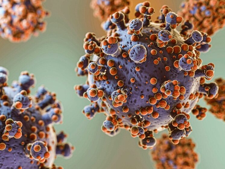 Эксперт Лобзин назвал самые опасные инфекции, угрожающие человеку