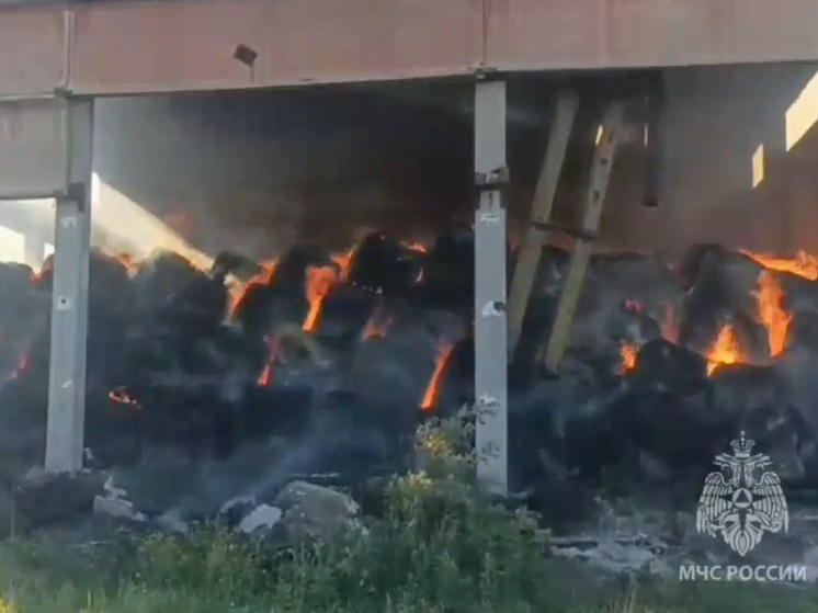 На пожаре в омском селе сгорело 120 тонн кормов