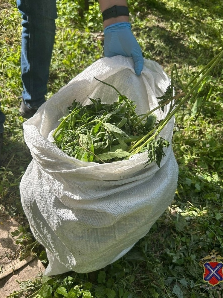 51-летнего жителя Волгоградской области задержали с 0,5 кг наркотика