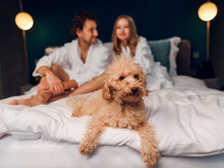 Курорт «Мрия» и «Валта Пет Продактс» создадут комфортные условия для гостей с питомцами