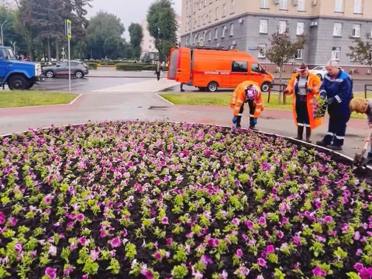 В Орле на площади Ленина высадили 1500 петуний