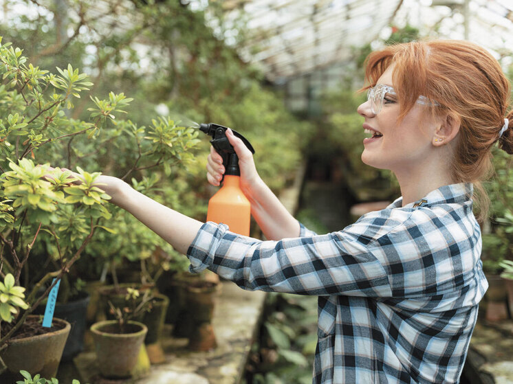  Эксперт Туманов поделился огородными лайфхаками