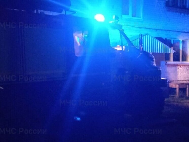 В Головино в пожаре погибли куры и цыплята