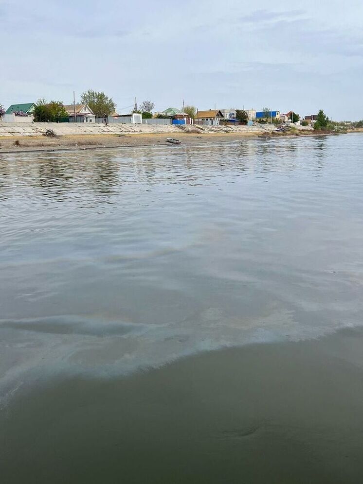 Волгу загрязнили нефтепродуктами и нанесли природе ущерб в размере 1,8 миллиона рублей