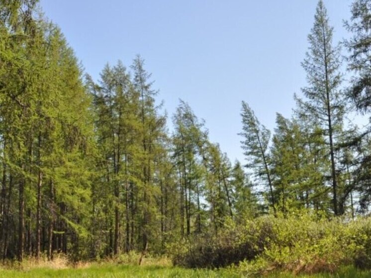 Пожароопасный сезон стартовал на Чукотке