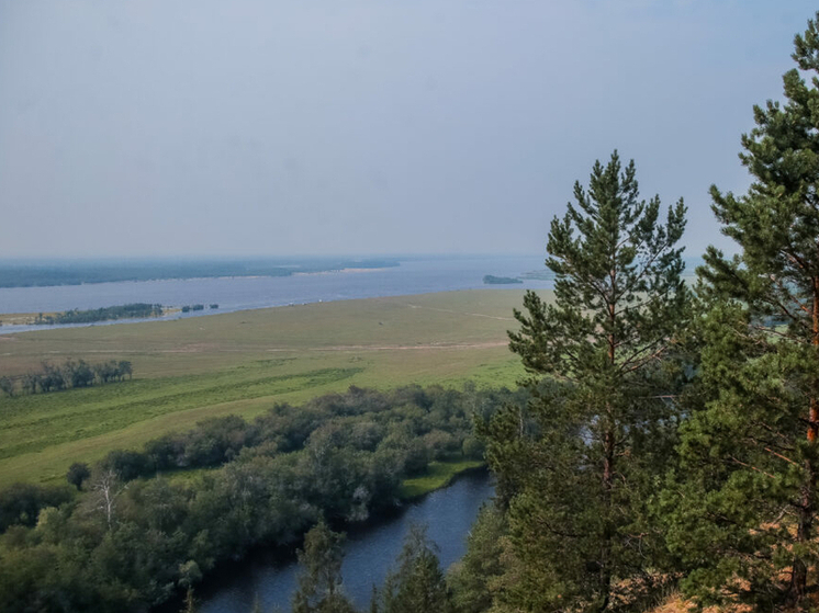 На утро 5 июня в Якутии не зафиксировано лесных и ландшафтных пожаров