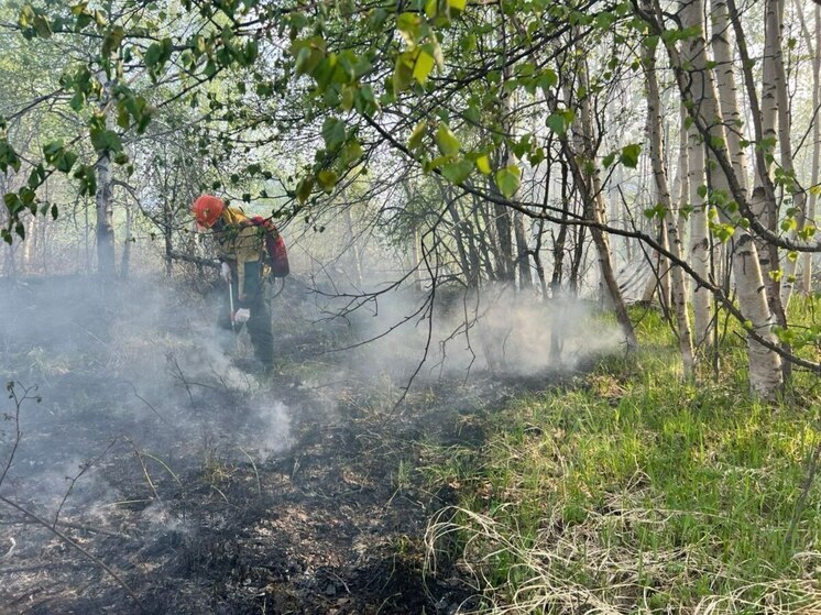 В центре Камчатки ликвидирован большой лесной пожар