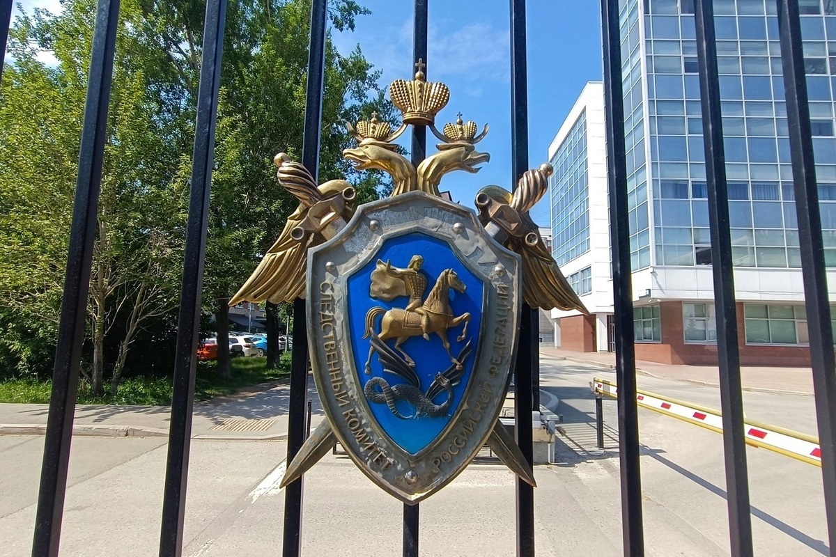 В Екатеринбурге пресекли деятельность ОПГ по незаконной легализации мигрантов