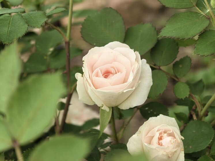 Итоги мая в Приморье: от паводков до 33-градусной жары