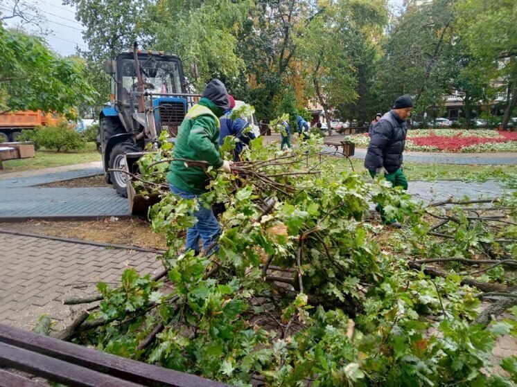 Пять автомобилей пострадали в Воронеже из-за упавших деревьев