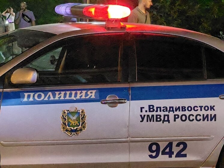 Пьяная ссора в Приморье закончилась ножевым ранением