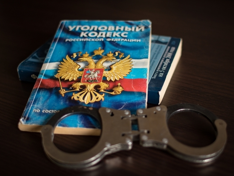 Мужчину, который с топором преследовал детей во дворе, ждет суд