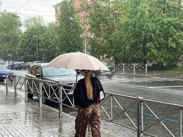 Дожди и грозы придут в Петербург на смену теплым и солнечным дням