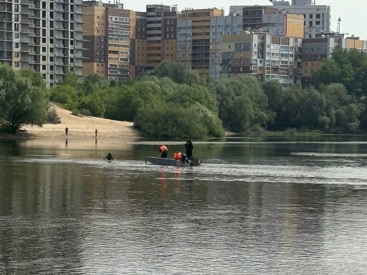 Ночью водолазы нашли утонувшего в Брянске юношу