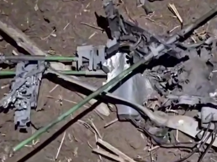 В ЛНР росгвардейцы уничтожили вражеский дрон