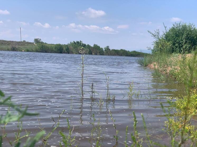 Роспотребнадзор предупредил об опасности купания в Селенге