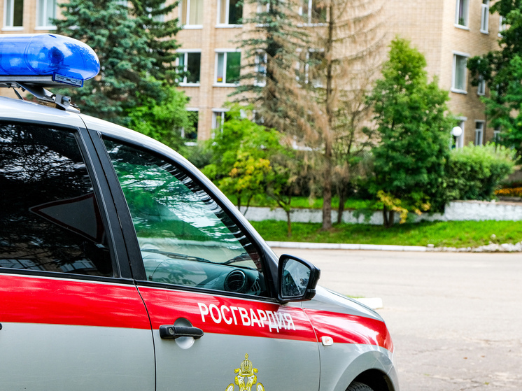 Смоленские росгвардейцы задержали подозреваемых в краже граждан