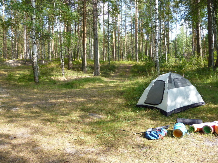 С 8 июня будет полностью запрещён отдых на природе: любителям чистого воздуха придётся поискать другие места