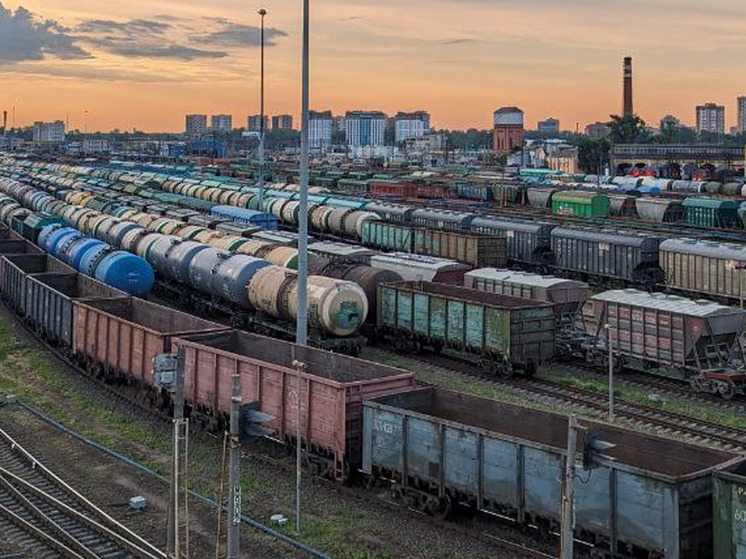 Члены инвестиционного совета при губернаторе Новгородской области ознакомились с региональной программой развития экспорта до 2030 года и на перспективу до 2036 года