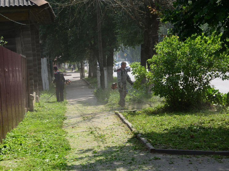 В Костроме ускорят работы по покосу травы