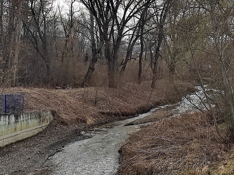 В Кисловодске приступили к очистке русла реки Белой