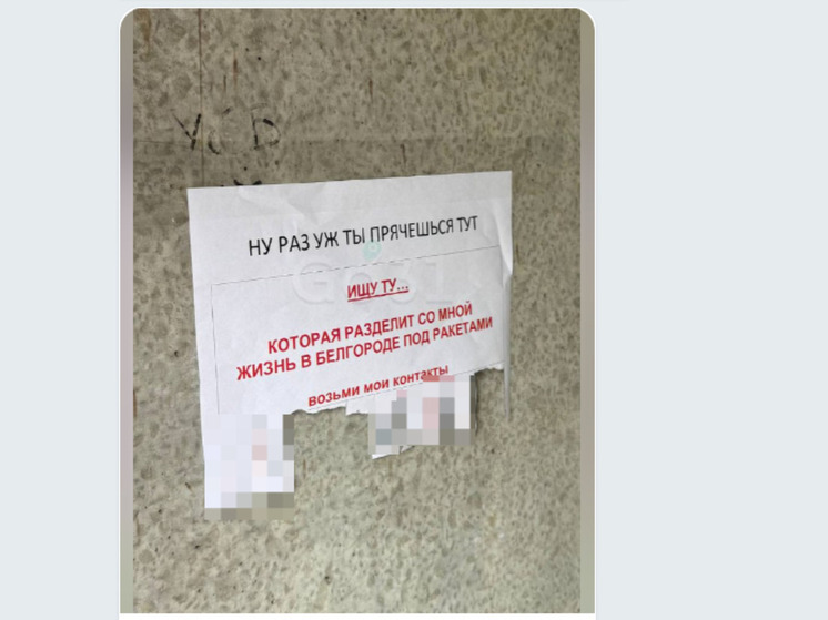 «Раз ты прячешься тут»: в укрытиях Белгорода заметили объявление о знакомстве